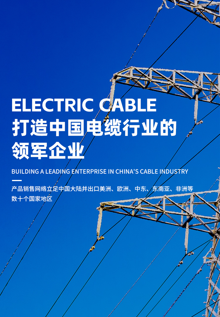 bti体育·(中国)官方网站-BTI-SPORTS