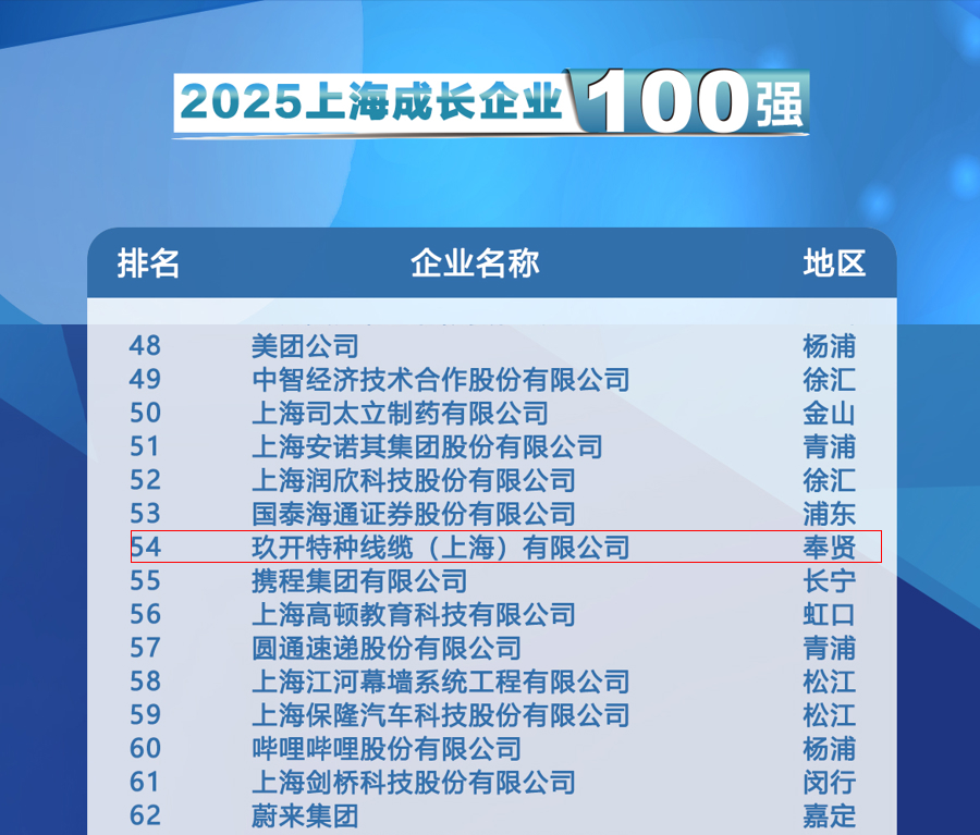 聚焦2025上海百强宣布会：bti体育特种线缆登榜生长企业100强